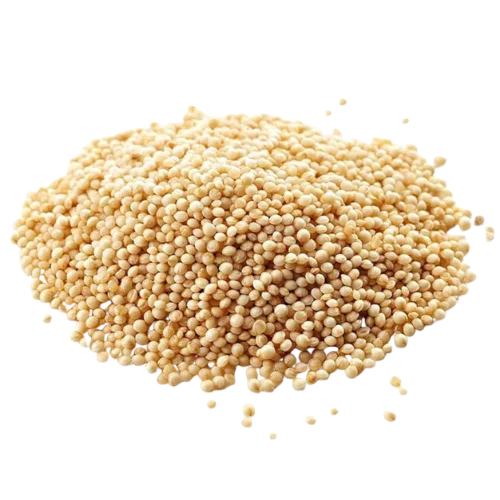 Amaranth (Rajgira)