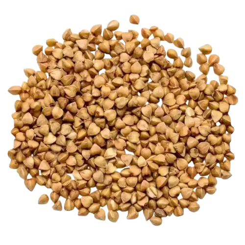 Buckwheat Millet (Kuttu)