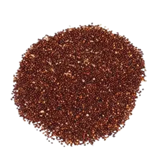 Finger Millet (Ragi)